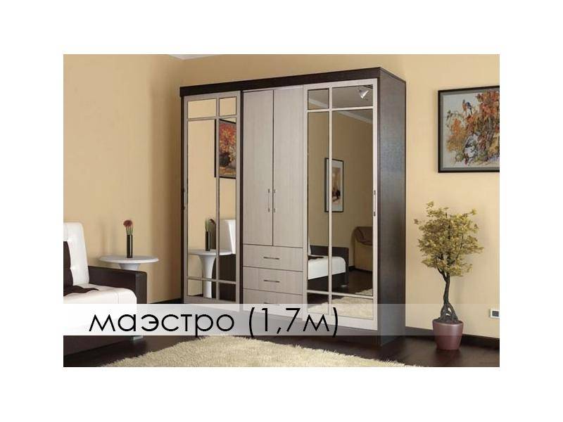 шкаф-купе маэстро в Таганроге