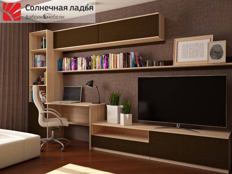 шкаф - купе для гостиной 13 в Таганроге