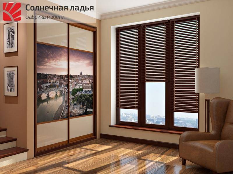 шкаф - купе для гостиной 9 в Таганроге