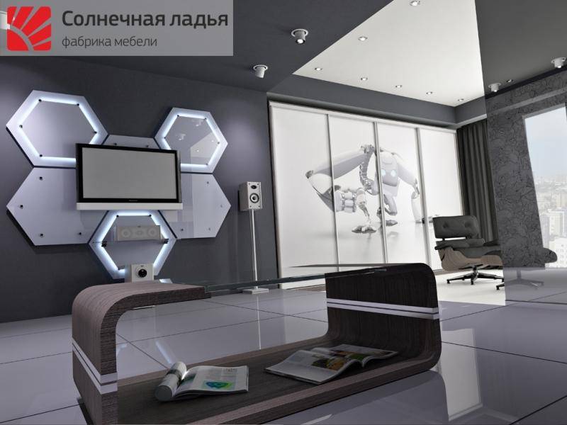 шкаф - купе для гостиной 11 в Таганроге