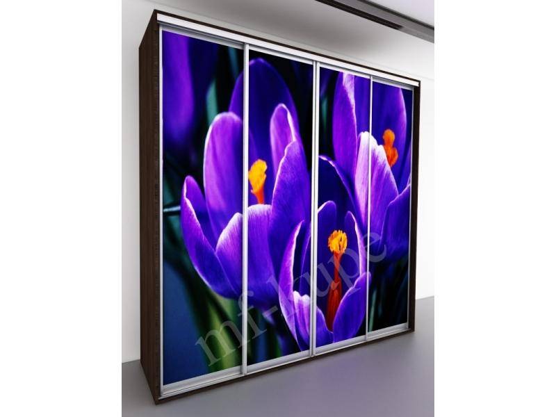 шкаф-купе бергамо violet 4 в Таганроге
