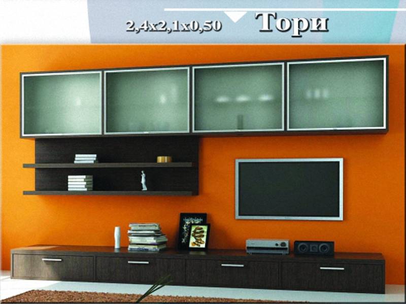 стенка «тори» в Таганроге