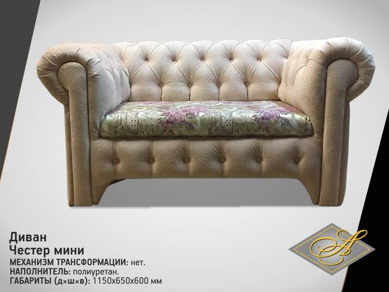 диван честер мини в Таганроге