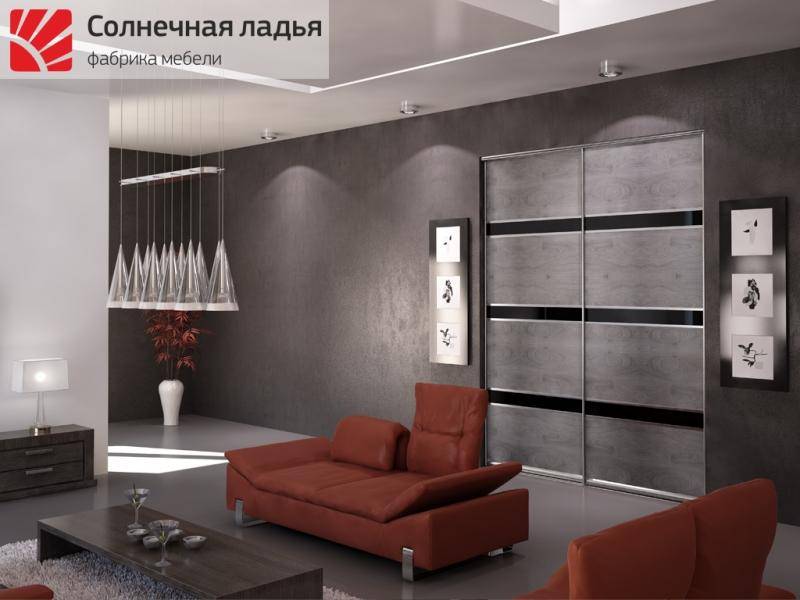 шкаф - купе для гостиной 18 в Таганроге