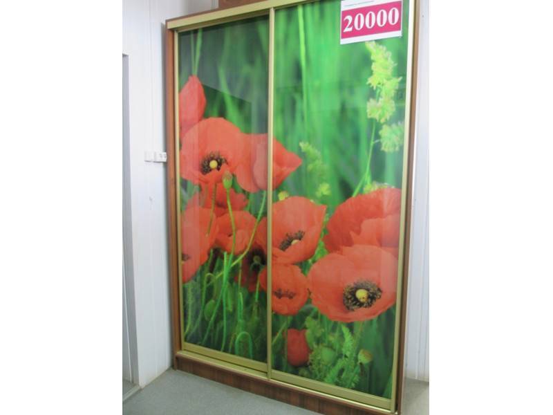 шкаф-купе 00002 в Таганроге