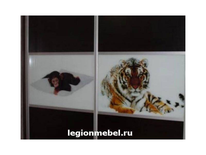 темный шкаф-купе с фотопечатью в Таганроге
