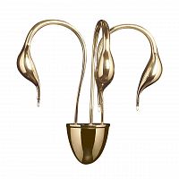 бра lightstar cigno collo 751632 в Таганроге