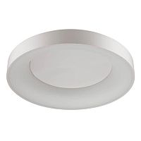 потолочный светодиодный светильник odeon light sole 4062/80cl в Таганроге