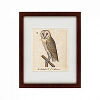 картина: one owl, 1560 в Таганроге