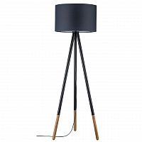 торшер paulmann rurik 79633 в Таганроге