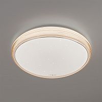 потолочный светодиодный светильник eurosvet universal 40008/1 led кофе в Таганроге