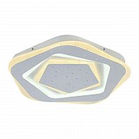 потолочный светодиодный светильник f-promo ledolution 2281-5c в Таганроге