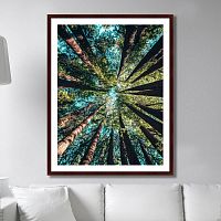 картина: deep forest в Таганроге