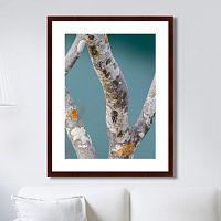 картина: trees on the galapagos islands, ecuador no3 в Таганроге