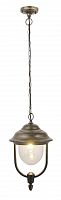 уличный подвесной светильник arte lamp barcelona a1485so-1bn в Таганроге