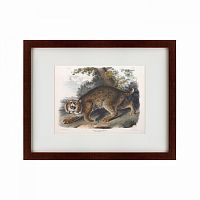 картина: bobcat, 1839 в Таганроге