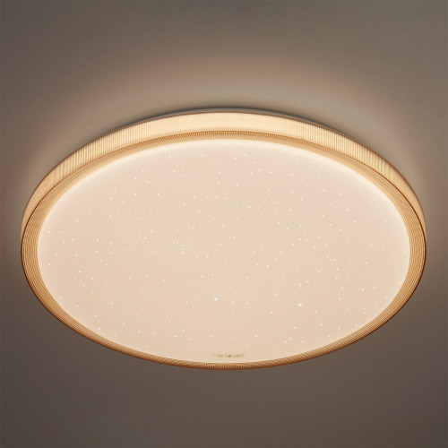 потолочный светодиодный светильник eurosvet sandy 40015/1 led кофе в Таганроге