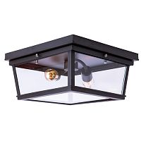 потолочный светильник loft it loft3110-2c в Таганроге