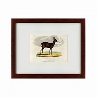 картина: a roebuck, 1830 в Таганроге