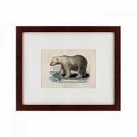 картина: white polar bear on an ice, 1830 в Таганроге