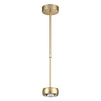 подвесной светодиодный светильник odeon light ottico 3874/10l в Таганроге