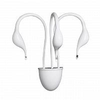 бра lightstar cigno collo wt 751636 в Таганроге