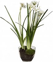 декор allium в Таганроге