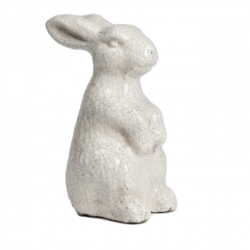 кролик декоративный rabbit в Таганроге