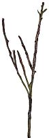 декор dry branches в Таганроге