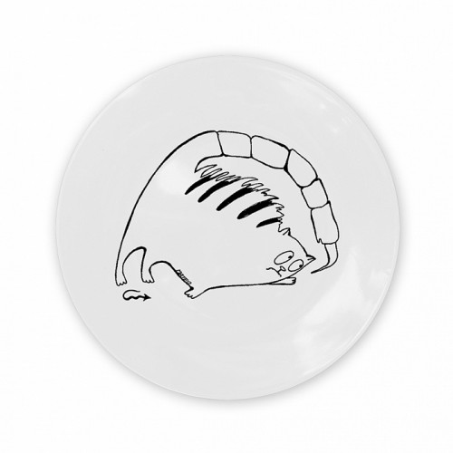 тарелка кот-скорпион в Таганроге