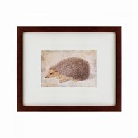 картина: a hedgehog, 1584 в Таганроге