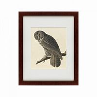 картина: great gray owl, 1834 в Таганроге