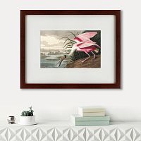 картина: roseate spoonbill, 1827 в Таганроге