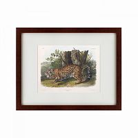 картина: jaguar, 1841 в Таганроге