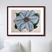 картина: exotic plants of the world №13, 1815г. в Таганроге