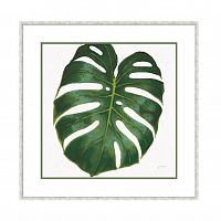 постер monstera зеленый в Таганроге