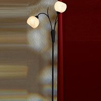 торшер lussole bagheria grlsf-6295-02 в Таганроге