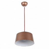 подвесной светильник arti lampadari tempo e 1.3.p1 br в Таганроге