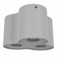 потолочный светильник lightstar binoco 052039 в Таганроге