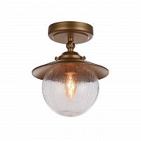 потолочный светильник favourite farola 2027-1u в Таганроге