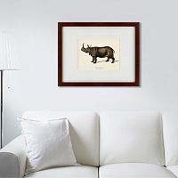 картина: rhinoceros ancienne gravure, 1849 в Таганроге
