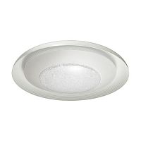 потолочный светодиодный светильник odeon light benso 4623/48cl в Таганроге