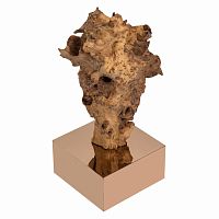 декор burlwood 87 cm в Таганроге