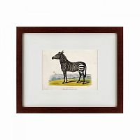 картина: a zebra, 1830 в Таганроге