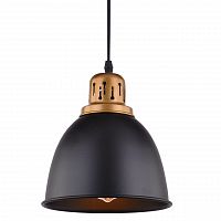 подвесной светильник arte lamp eurica a4245sp-1bk в Таганроге