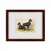 картина: two nilgais, 1830 в Таганроге