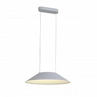 подвесной светодиодный светильник st luce pitto sl427.513.01 в Таганроге
