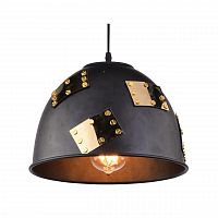 подвесной светильник arte lamp eurica a6023sp-1bk в Таганроге