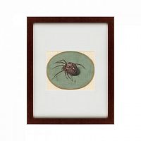 картина: spider, 1690 в Таганроге