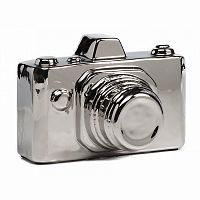 предмет декора camera серебряная в Таганроге